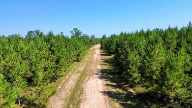 218 acres with road frontage on Hwy 431 & 131 in Eufaula. Zoned - photo 13