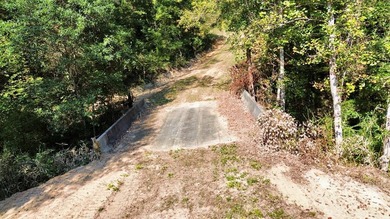 218 acres with road frontage on Hwy 431 & 131 in Eufaula. Zoned - photo 14