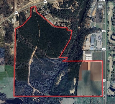 218 acres with road frontage on Hwy 431 & 131 in Eufaula. Zoned - photo 15