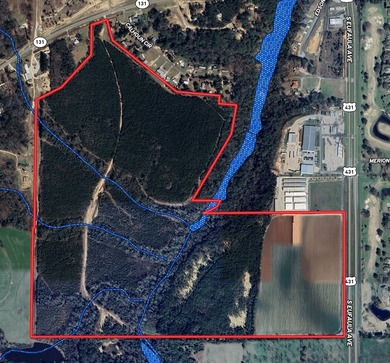 218 acres with road frontage on Hwy 431 & 131 in Eufaula. Zoned - photo 16
