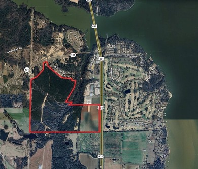 218 acres with road frontage on Hwy 431 & 131 in Eufaula. Zoned - photo 17