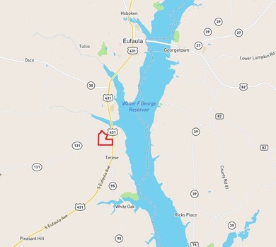 218 acres with road frontage on Hwy 431 & 131 in Eufaula. Zoned - photo 18