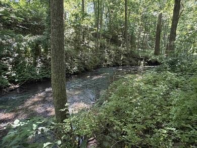 This 2016 ranch enjoys 300 feet of wooded creek frontage on just - photo 36