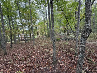 Lake Dartmoor Lot For Sale in Crossville Tennessee