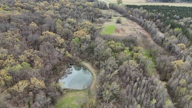 This expansive 675 acre +/- property in Tallahatchie County, MS - photo 13