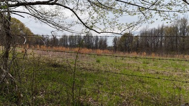 This expansive 675 acre +/- property in Tallahatchie County, MS - photo 14