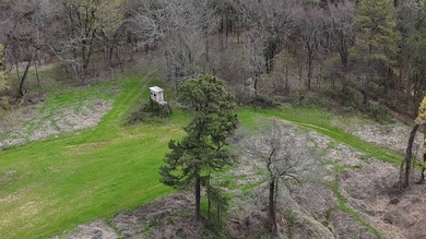 This expansive 675 acre +/- property in Tallahatchie County, MS - photo 15