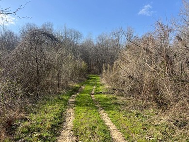 This expansive 675 acre +/- property in Tallahatchie County, MS - photo 18