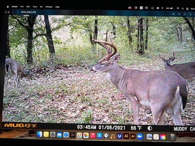 -172 Acres of Premier Oklahoma Riverfront with Lifetime Mining - photo 20
