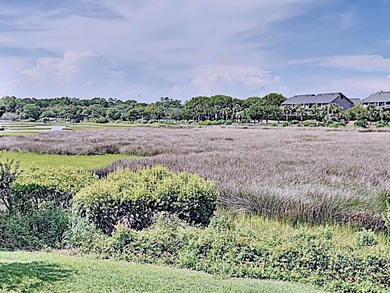 Heron Marsh Villa is a 3 bedroom, end unit villa at Litchfield - photo 22