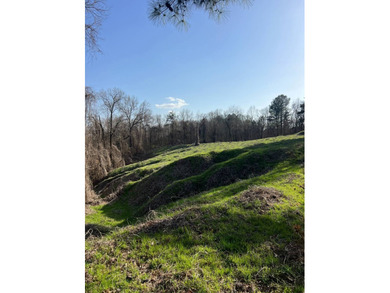 This expansive 675 acre +/- property in Tallahatchie County, MS - photo 22