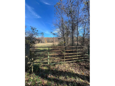 This expansive 675 acre +/- property in Tallahatchie County, MS - photo 23
