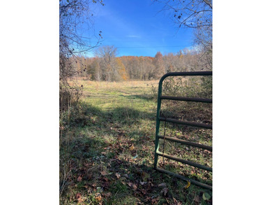 This expansive 675 acre +/- property in Tallahatchie County, MS - photo 29