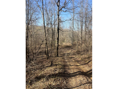 This expansive 675 acre +/- property in Tallahatchie County, MS - photo 30