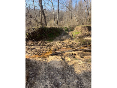 This expansive 675 acre +/- property in Tallahatchie County, MS - photo 31