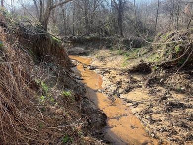 This expansive 675 acre +/- property in Tallahatchie County, MS - photo 32