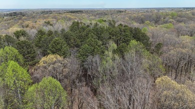 This expansive 675 acre +/- property in Tallahatchie County, MS - photo 34