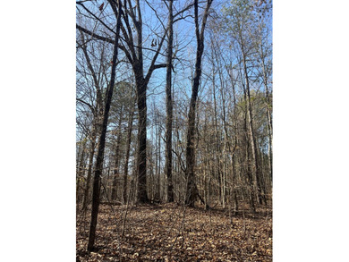 This expansive 675 acre +/- property in Tallahatchie County, MS - photo 38