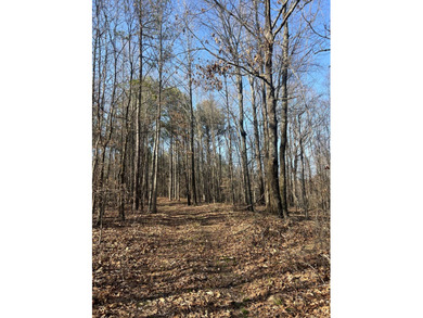 This expansive 675 acre +/- property in Tallahatchie County, MS - photo 39
