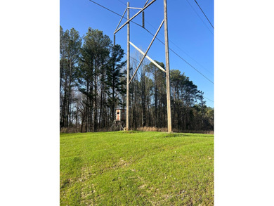 This expansive 675 acre +/- property in Tallahatchie County, MS - photo 41
