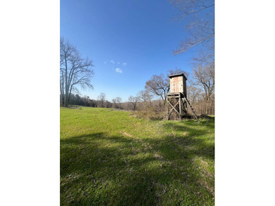 This expansive 675 acre +/- property in Tallahatchie County, MS - photo 42