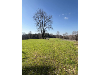 This expansive 675 acre +/- property in Tallahatchie County, MS - photo 43