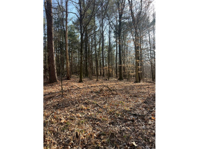 This expansive 675 acre +/- property in Tallahatchie County, MS - photo 45