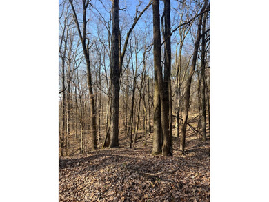 This expansive 675 acre +/- property in Tallahatchie County, MS - photo 47