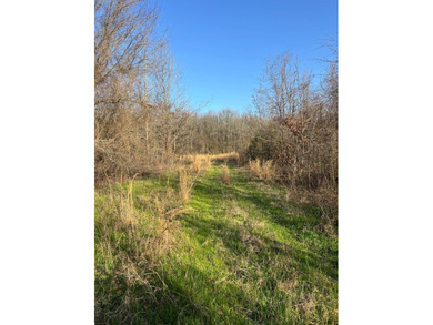 This expansive 675 acre +/- property in Tallahatchie County, MS - photo 50