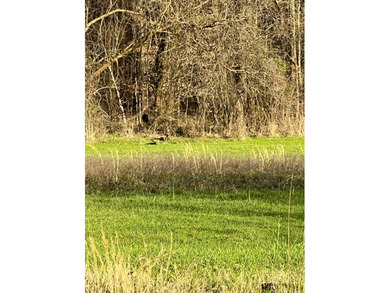 This expansive 675 acre +/- property in Tallahatchie County, MS - photo 51