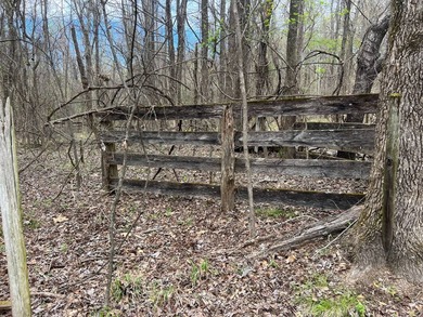 This expansive 675 acre +/- property in Tallahatchie County, MS - photo 53