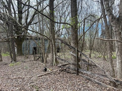 This expansive 675 acre +/- property in Tallahatchie County, MS - photo 55