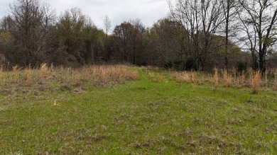 This expansive 675 acre +/- property in Tallahatchie County, MS - photo 56