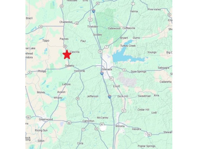 This expansive 675 acre +/- property in Tallahatchie County, MS - photo 57