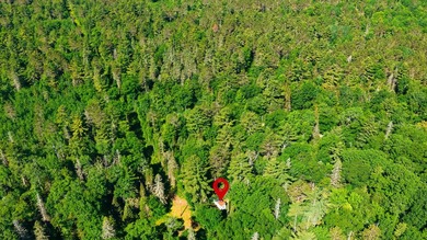 Discover the perfect Northwoods retreat on this beautifully - photo 12