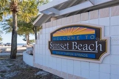 Welcome to Island Club of Tarpon Springs, where breathtaking - photo 12