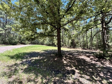 This 0.47-acre wooded corner lot sits in the gated Westwood - photo 12