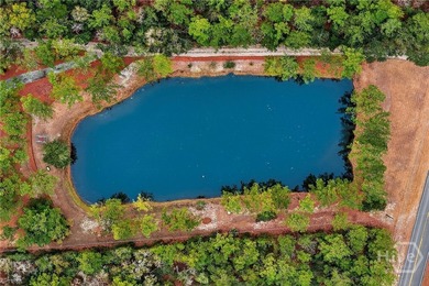 Experience the best of Coastal Country Living at 22103 GA Hwy - photo 40