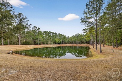 Experience the best of Coastal Country Living at 22103 GA Hwy - photo 41