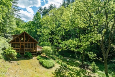 Lake Home For Sale in Butler, Tennessee