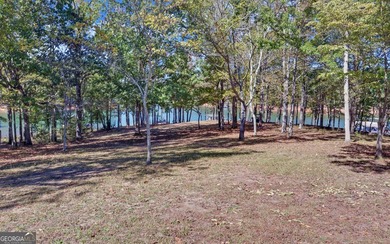 Cozy Ranch style home on Lake Hartwell, close to town, DEEP - photo 42