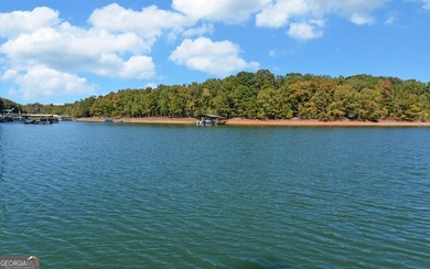 Cozy Ranch style home on Lake Hartwell, close to town, DEEP - photo 57