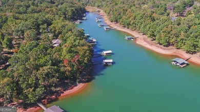 Cozy Ranch style home on Lake Hartwell, close to town, DEEP - photo 58