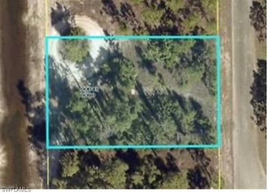 Lehigh Acres Area Lot For Sale in Lehigh Acres Florida