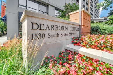 Lake Michigan - Cook County Condo Active Under Contract in Chicago Illinois