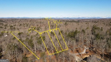 Lake Lanier Lot For Sale in Murrayville Georgia