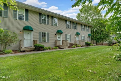 Lake Condo Sale Pending in Johnson City, Tennessee