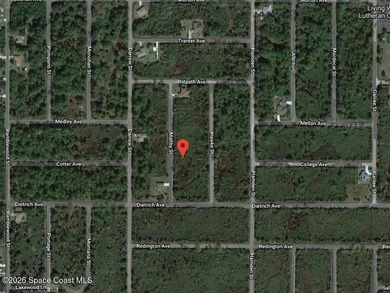 Port Charlotte Waterway Area Lot For Sale in Port Charlotte Florida