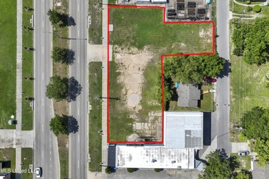 Two adjoining lots fronting Caillavet Street are available - photo 9