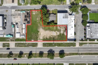 Two adjoining lots fronting Caillavet Street are available - photo 10